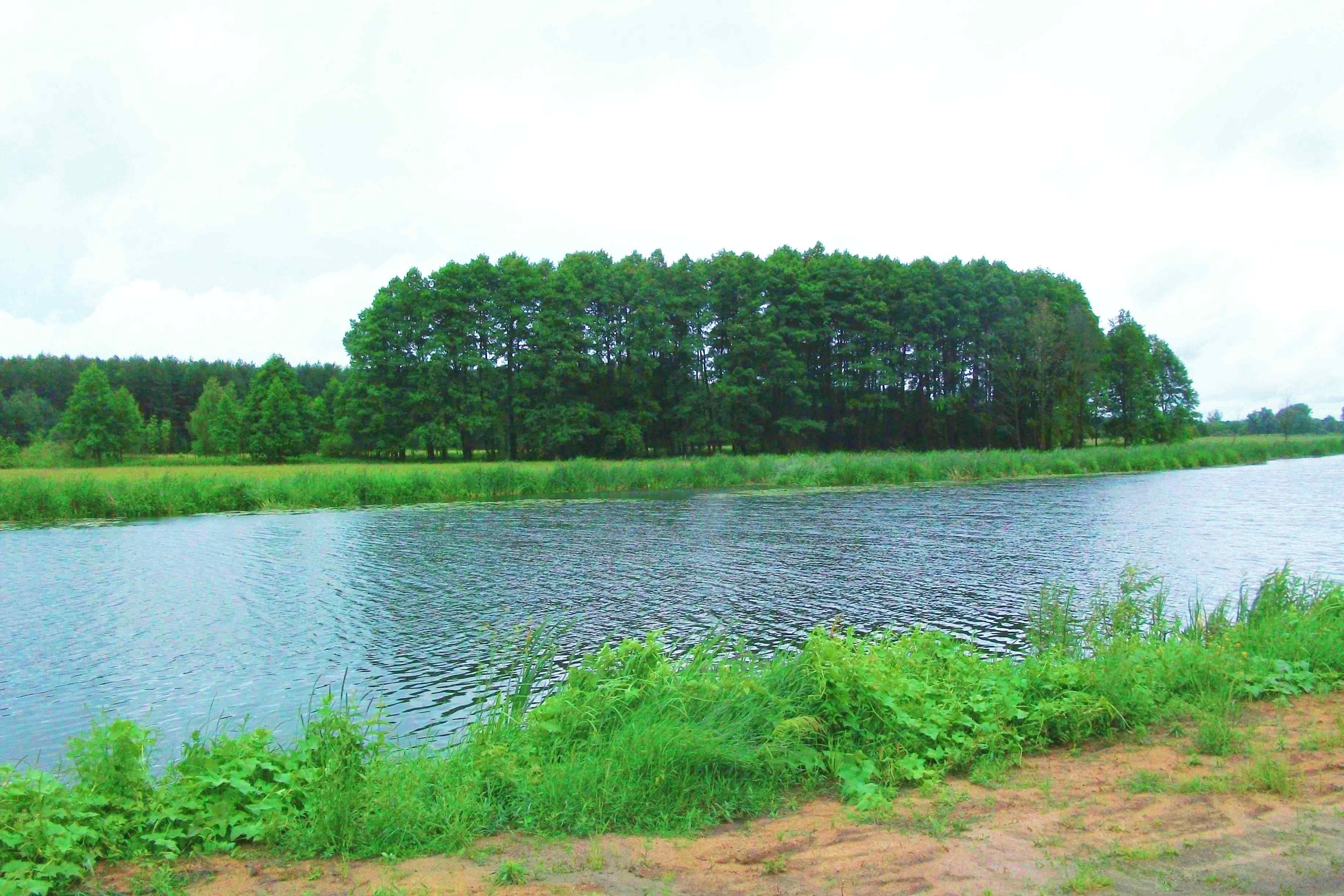 Sprzedam atrakcyjne gosp. rolne, 1ha, NATURA 2000 — zdjęcie 1