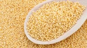 Kupię Proso złote — zdjęcie 2