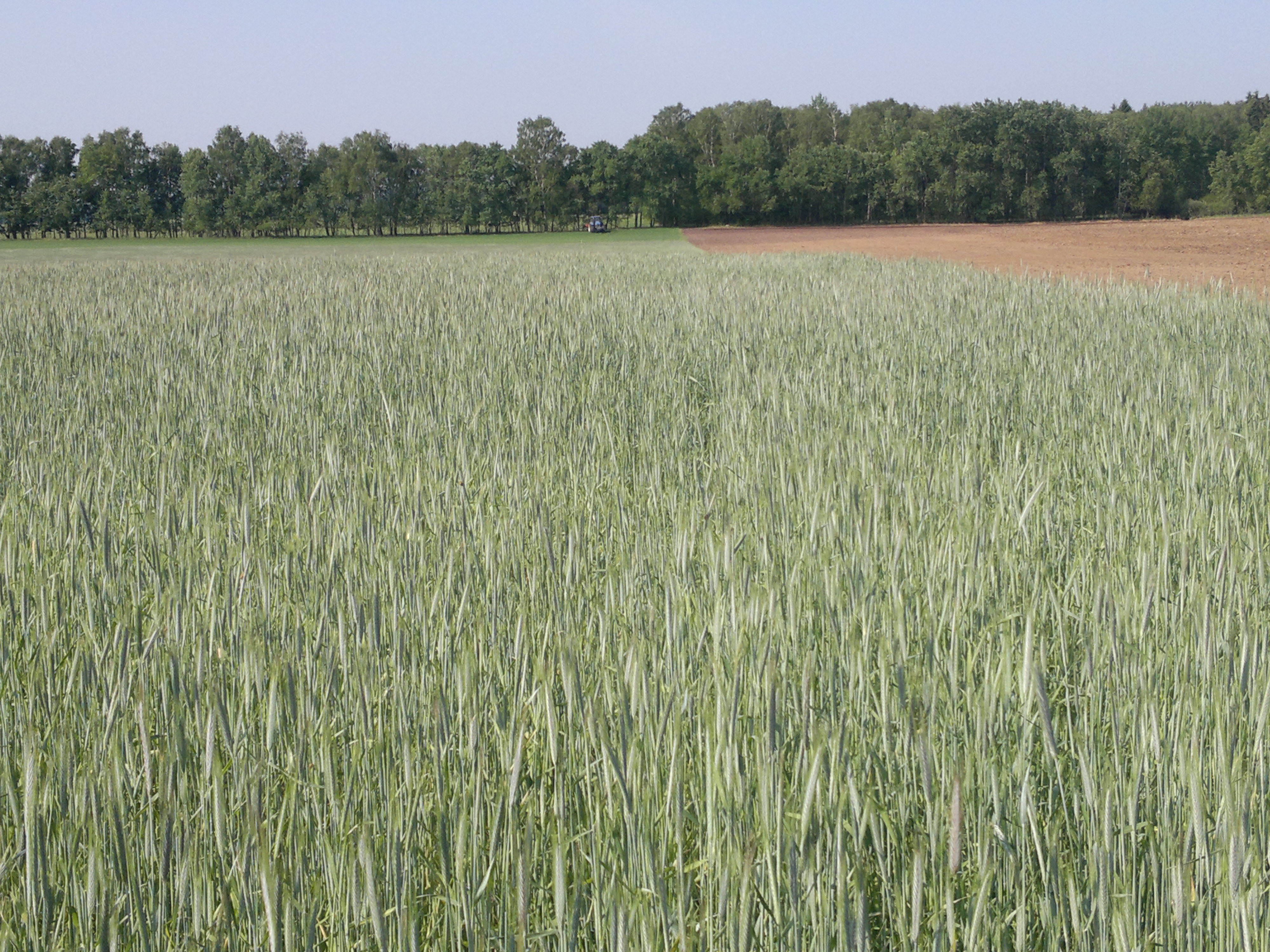 Nieruchomość rolna 193,9187ha powiat białogardzki — zdjęcie 2
