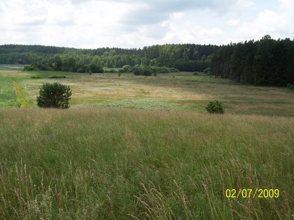 Sprzedam działkę las/jeziora Bartołty Wielkie — zdjęcie 2