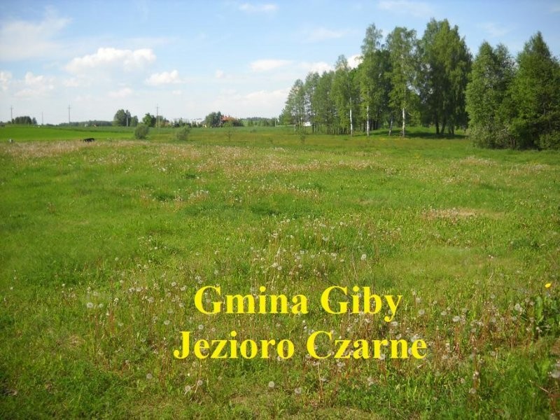 (41) Działka pod rekreację na Poj. Sejneńskim — zdjęcie 1