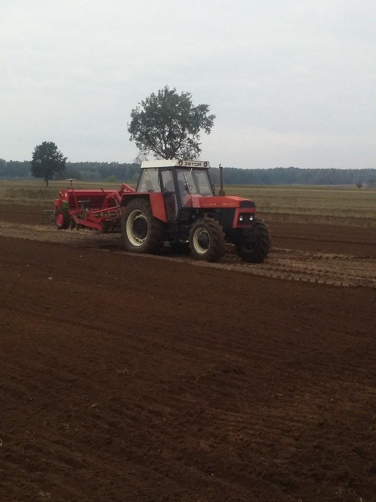 ciągnik Zetor 12145 wersja zts! ,1989r — zdjęcie 6
