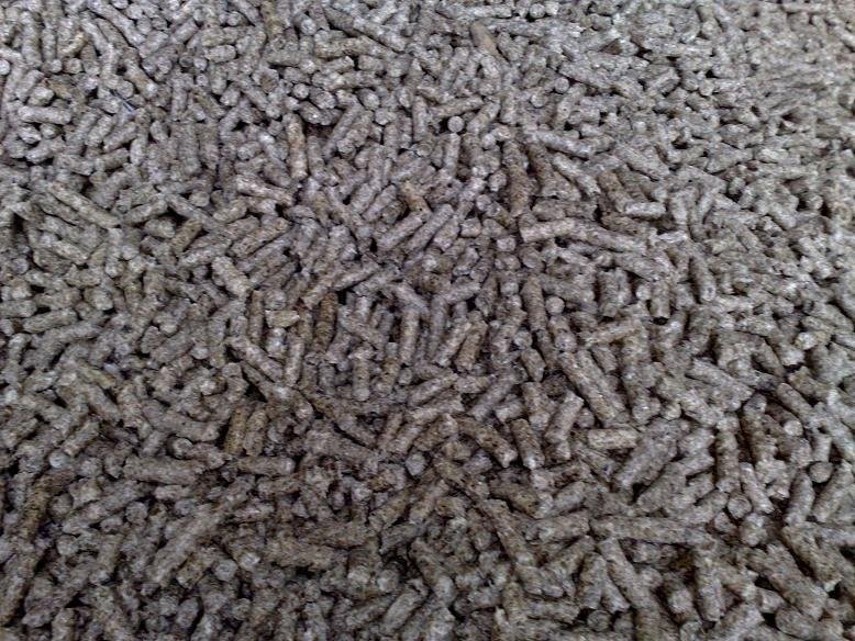Wysłodki buraczane suche granulowane — zdjęcie 2