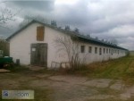 Wynajmę lub sprzedam magazyny gm. Witnica Okazja ! — zdjęcie 1