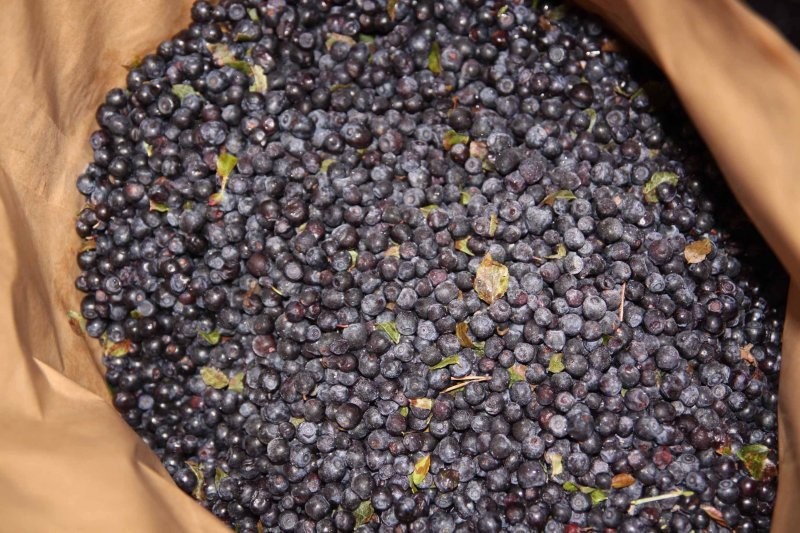 frozen Blueberries