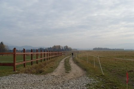 pensjonat dla koni przydomowa stajnia — zdjęcie 5