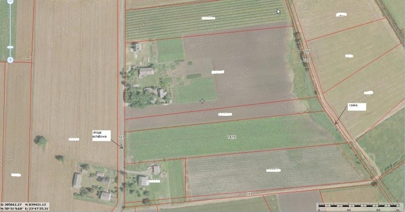 1,3ha Kl. II-IIIa 33000zł całość