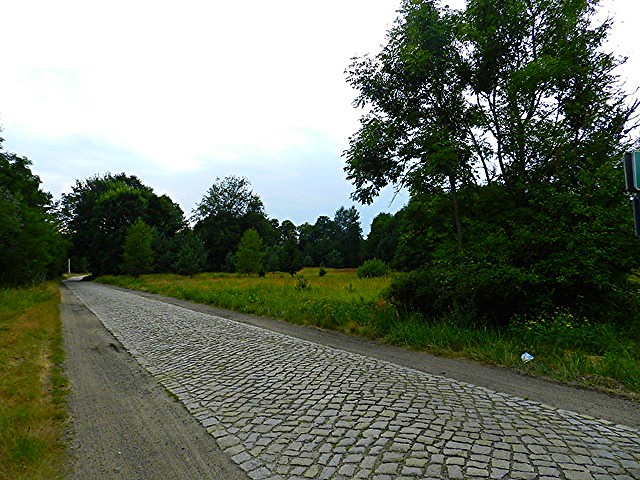 Santoczno - Działka budowlana o pow. 4400 m2 — zdjęcie 5