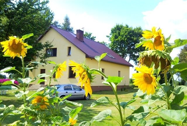 gospodarstwo siedlisko 12ha — zdjęcie 3