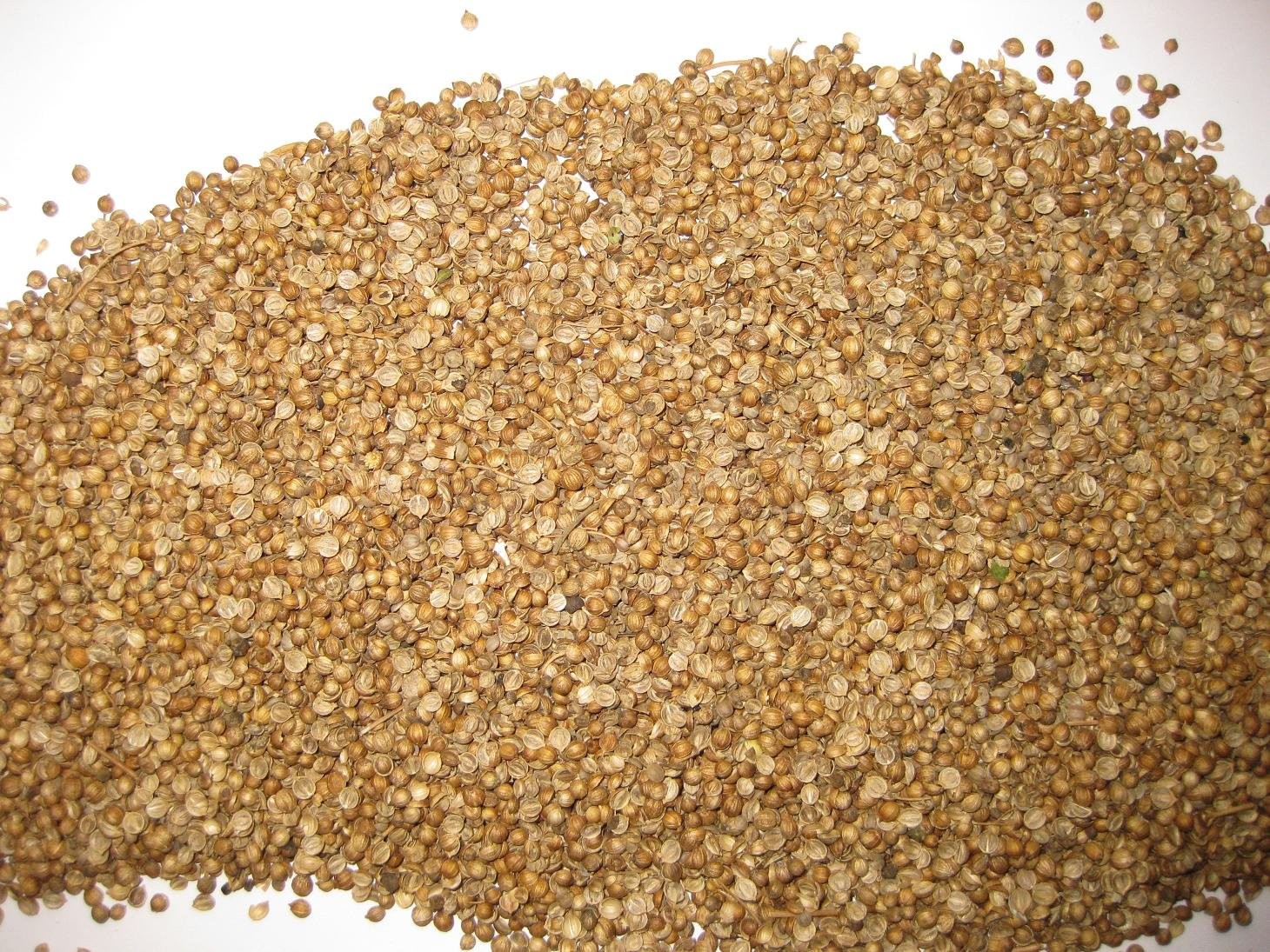 halves coriander