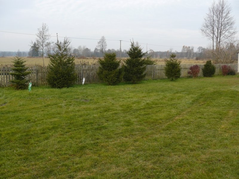 Sprzedam gospodarstwo rolne(siedlisko) 11ha ziemi — zdjęcie 5