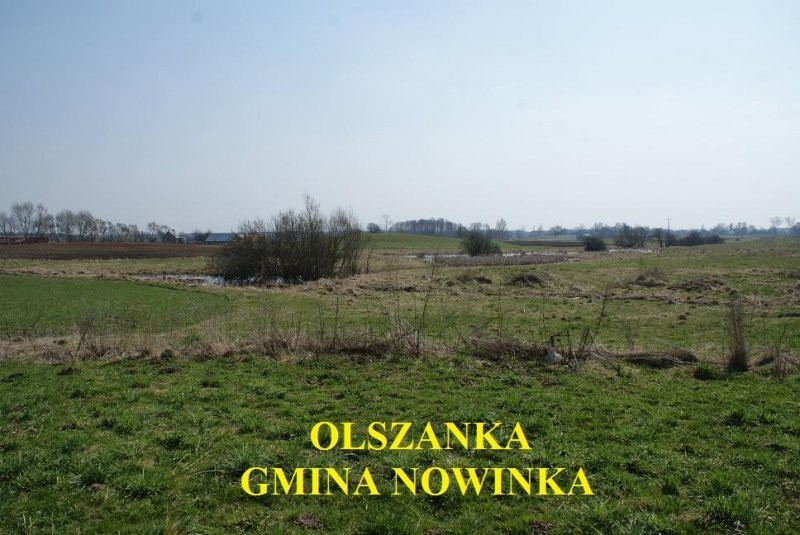 (33) Działka przy drodze krajowej numer 8 — zdjęcie 1