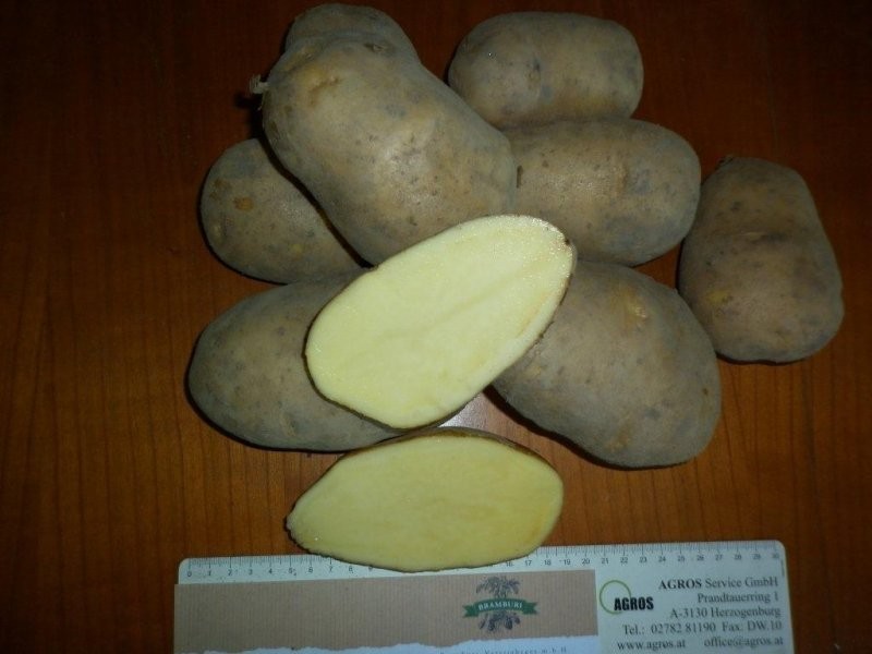 Ziemniaki z FITO