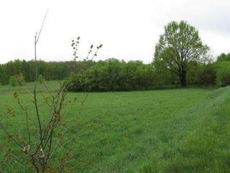 Działka 7,4ha okolice Zielonej Góry — zdjęcie 4