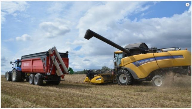 Przyczepa rolnicza Metal-Fach T935/2 – 16t Skorupowa — zdjęcie 4