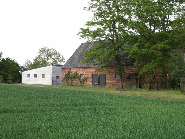 Gospodarstwo rolne o pow. 14,96 ha wraz z zabudowaniami — zdjęcie 6