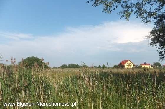 Dzialka 2,6ha z morzliwoscia podzialu w Gorzowie. — zdjęcie 1