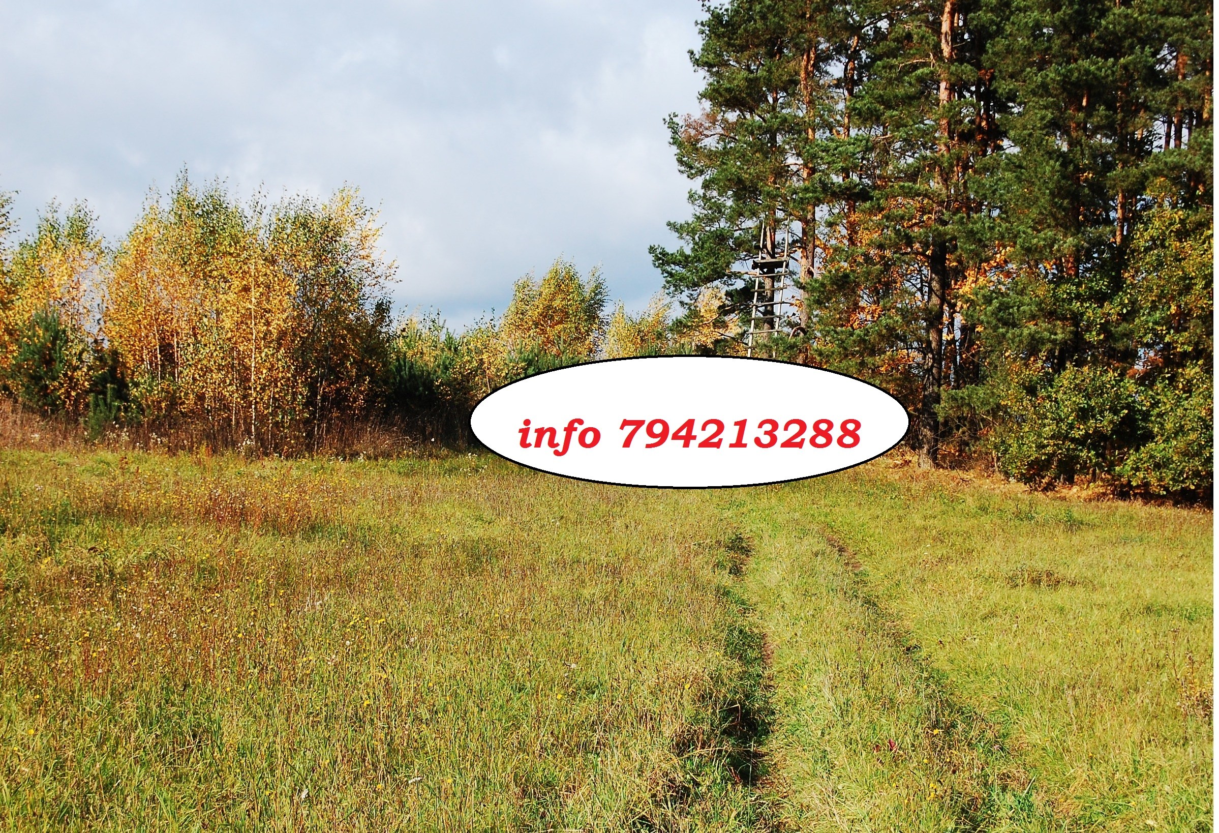 8,43 ha grunty inwestycyjne ( kopalniane ) OKAZJA CENOWA — zdjęcie 2
