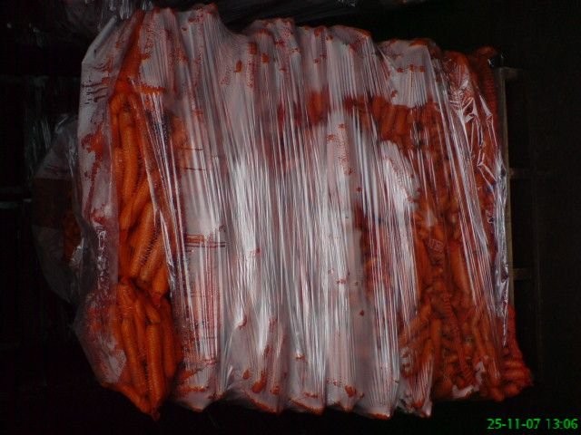MARCHEW — zdjęcie 1