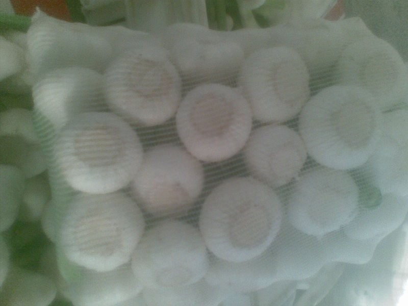 czosnek z Egiptu — zdjęcie 2