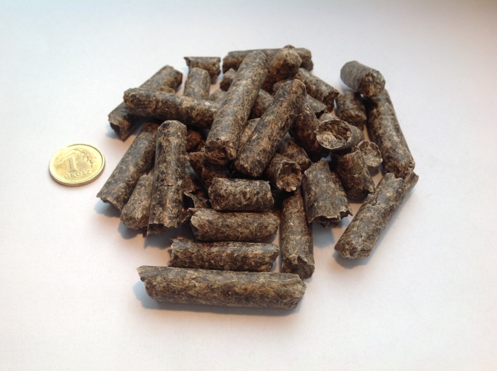 Wysłodki buraczane niemelasowane granulowane 8 mm — zdjęcie 1