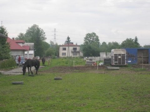 Sprzedam gospodarstwo rolne PILNE-TANIO — zdjęcie 5