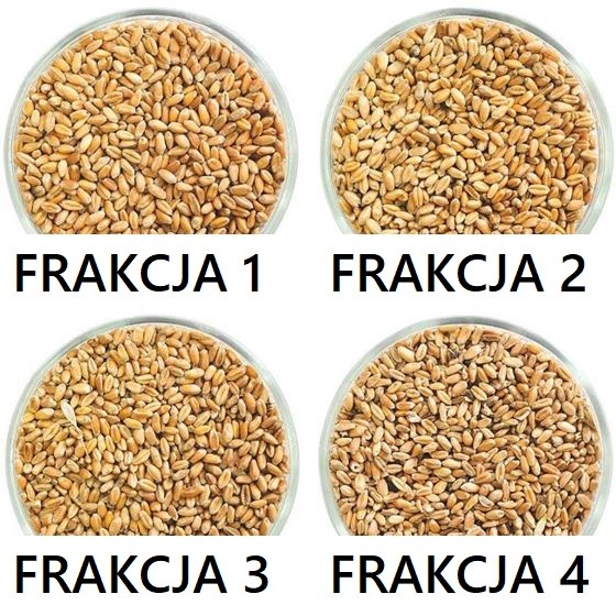 Separator aerodynamiczny SAD 10 bez cyklonu, wialnia, czyszczalnia — zdjęcie 4