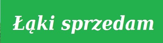 230 ha łąk sprzedam