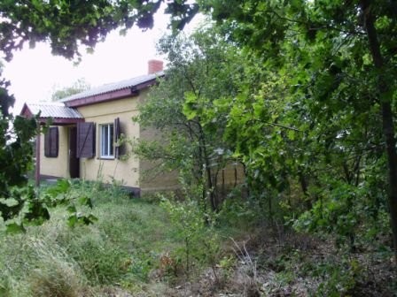 Sprzedam,zamienię na ziemię,las, wynajmę firmie — zdjęcie 1