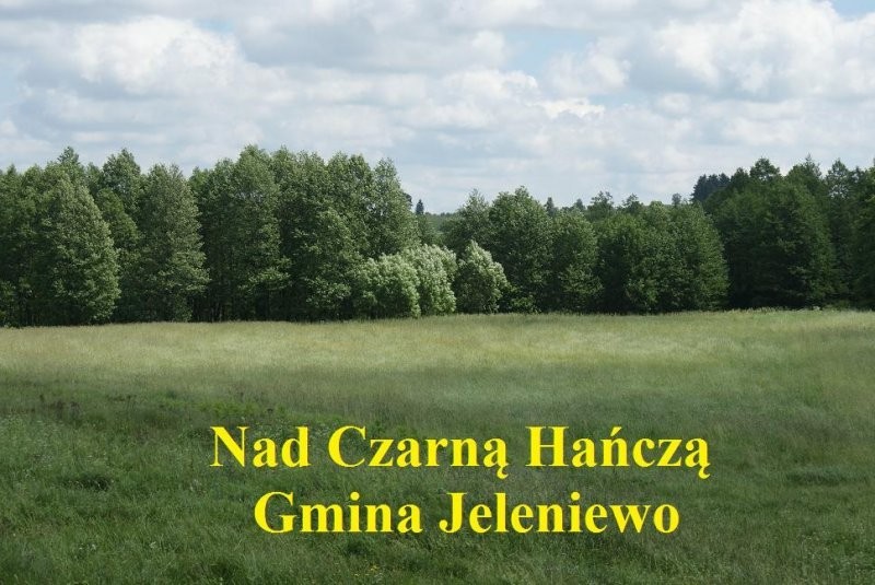 (2) Gospodarstwo z linią brzegową Czarnej Hańczy — zdjęcie 4
