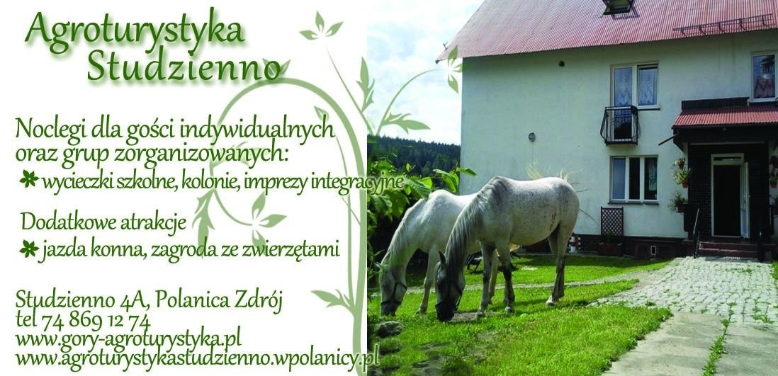Aktywny wypoczynek w Kotlinie Kłodzkiej — zdjęcie 1