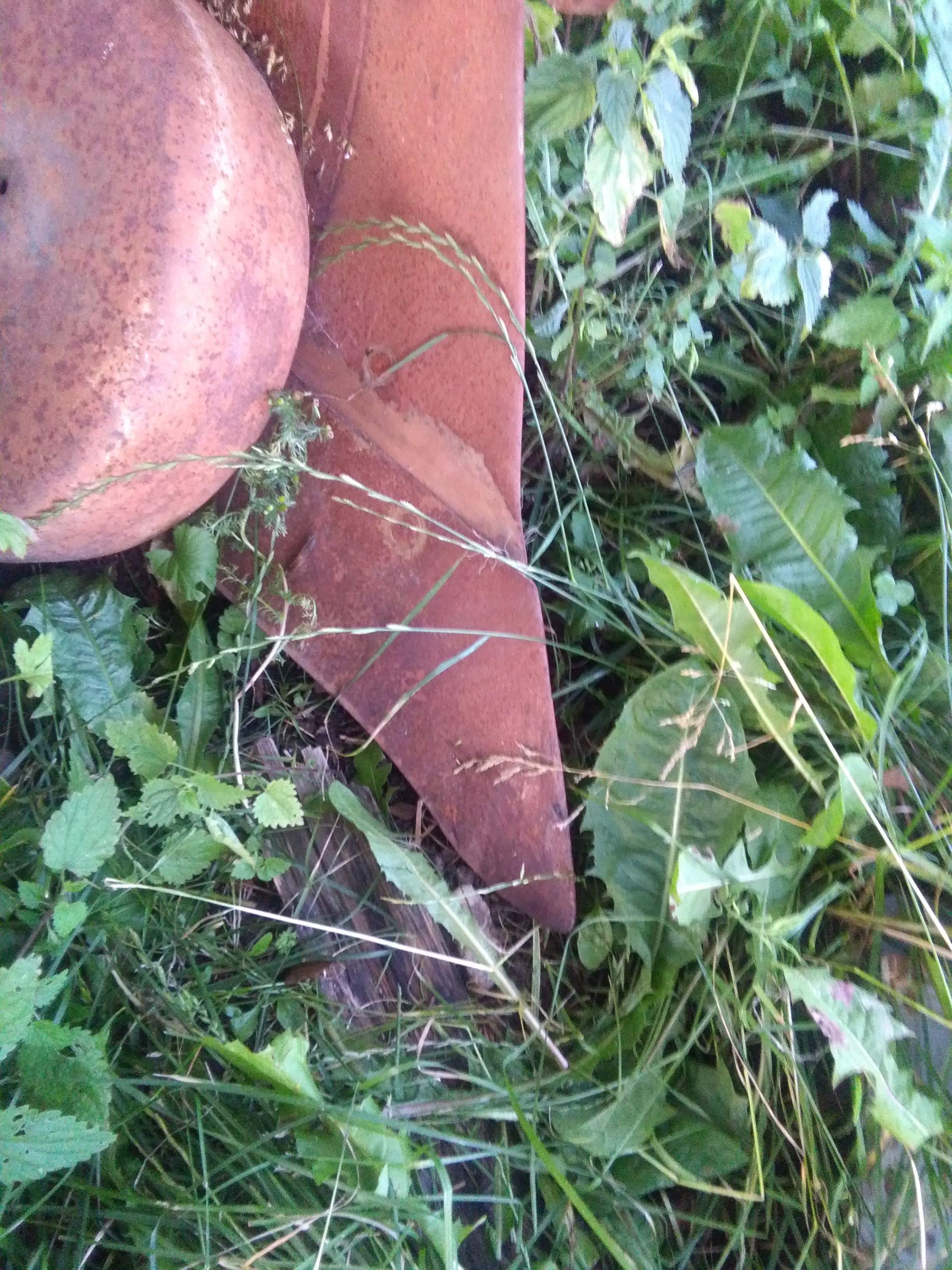 Plug unia grudziadz — zdjęcie 2