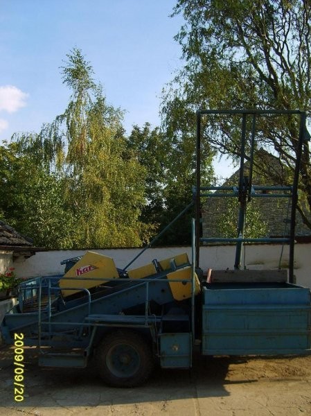 SPRZEDAM Karlik  Z 642 — zdjęcie 3