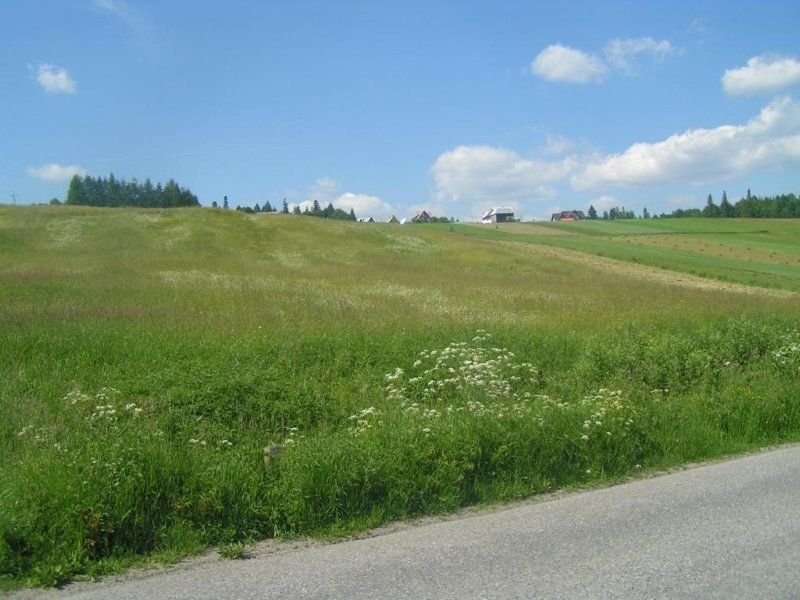 Sprzedam dzialke w Falsztynie nad Czorsztynem — zdjęcie 3
