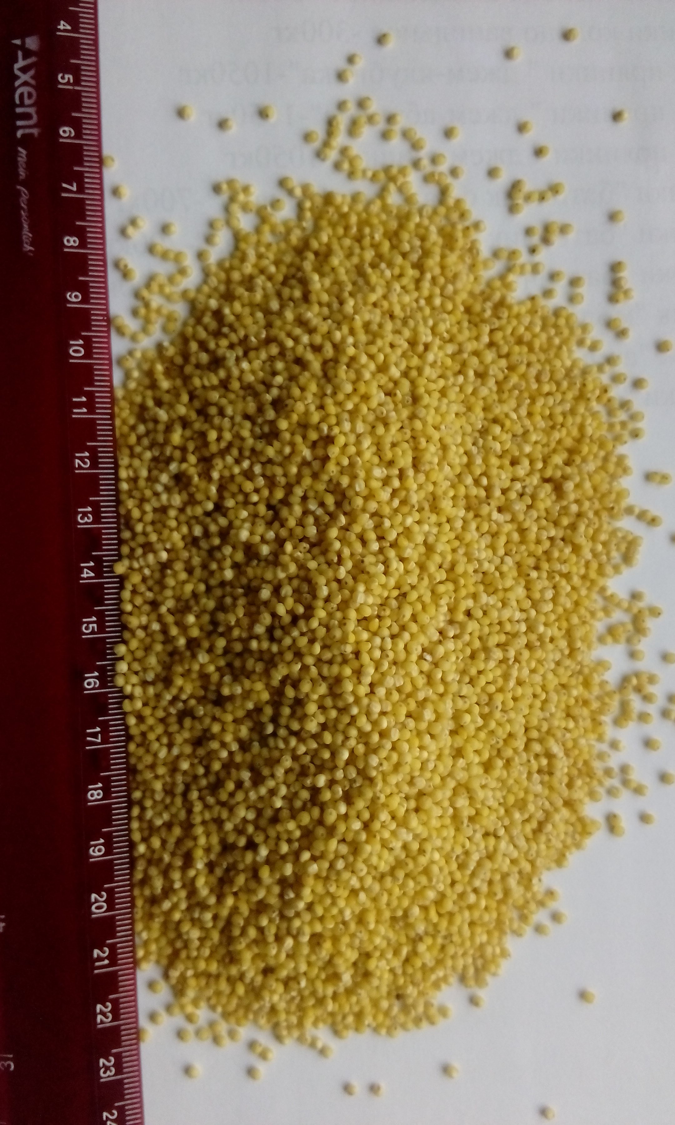 продам пшено и горох половики — zdjęcie 1
