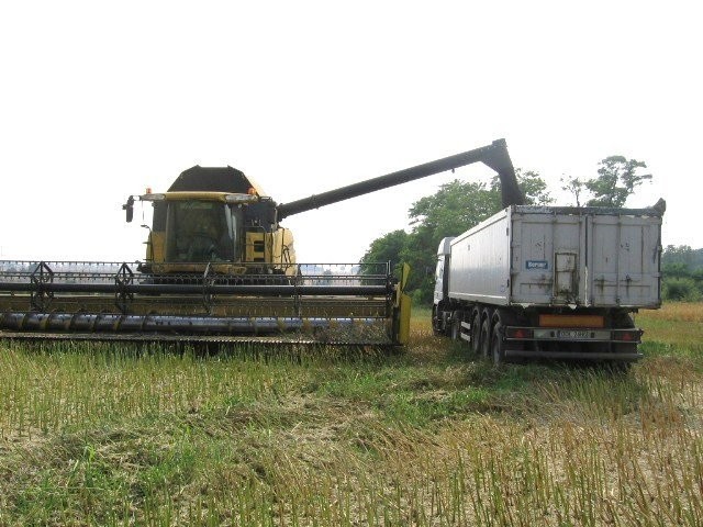 usługi agrotechniczne     www.agro-uslugi.eu — zdjęcie 4