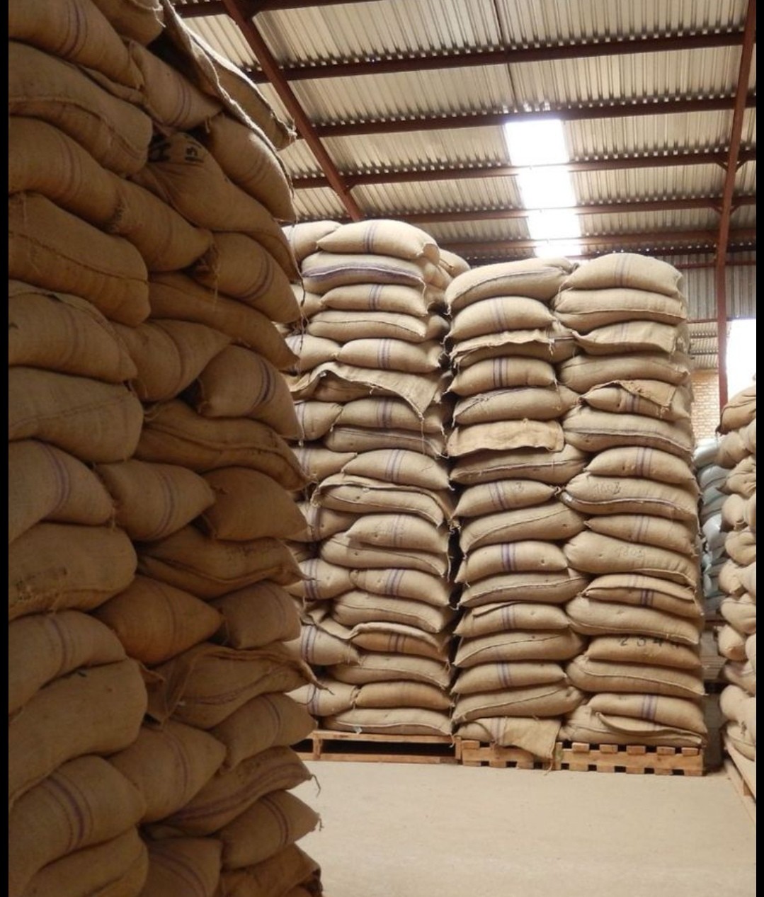 Ethiopia coffee for sell — zdjęcie 4