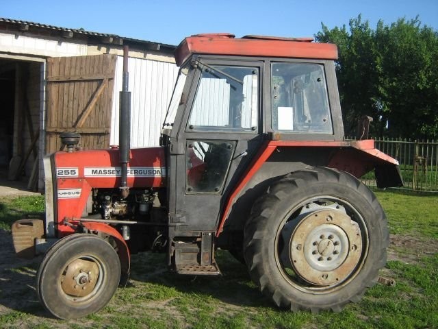 MAssey Ferguson 255 Nie Ursus — zdjęcie 2