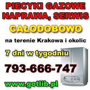 Naprawa piecyków gazowych Kraków tel. 793-666-747 — zdjęcie 2