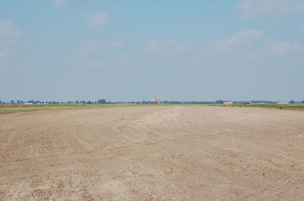 Grunty orne, ziemię rolną - 10ha, powiat górowski — zdjęcie 7