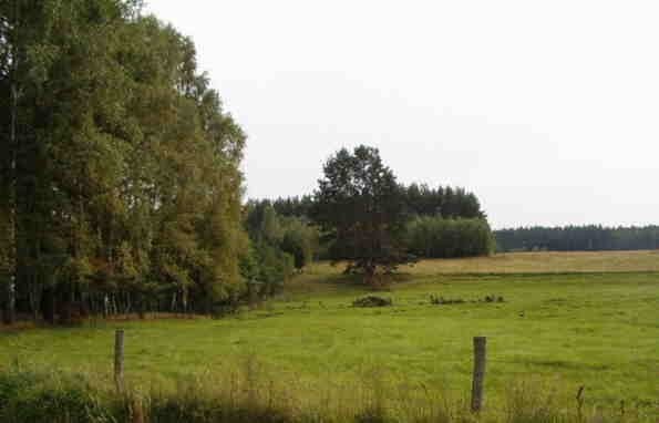 2 działki- rolną i pod budowę — zdjęcie 3