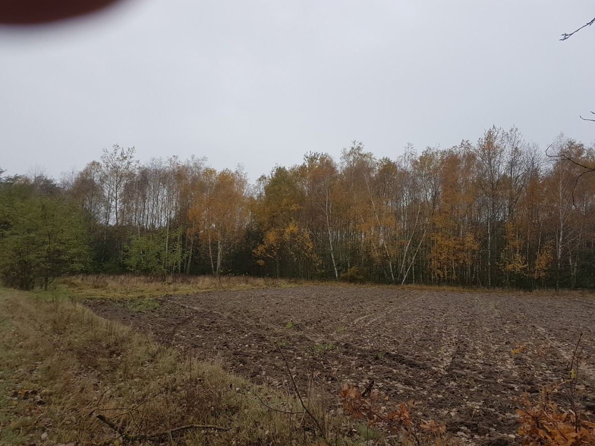 Sprzedam ziemię rolną 3.5 h pod Radomiem (Stromiec) — zdjęcie 2