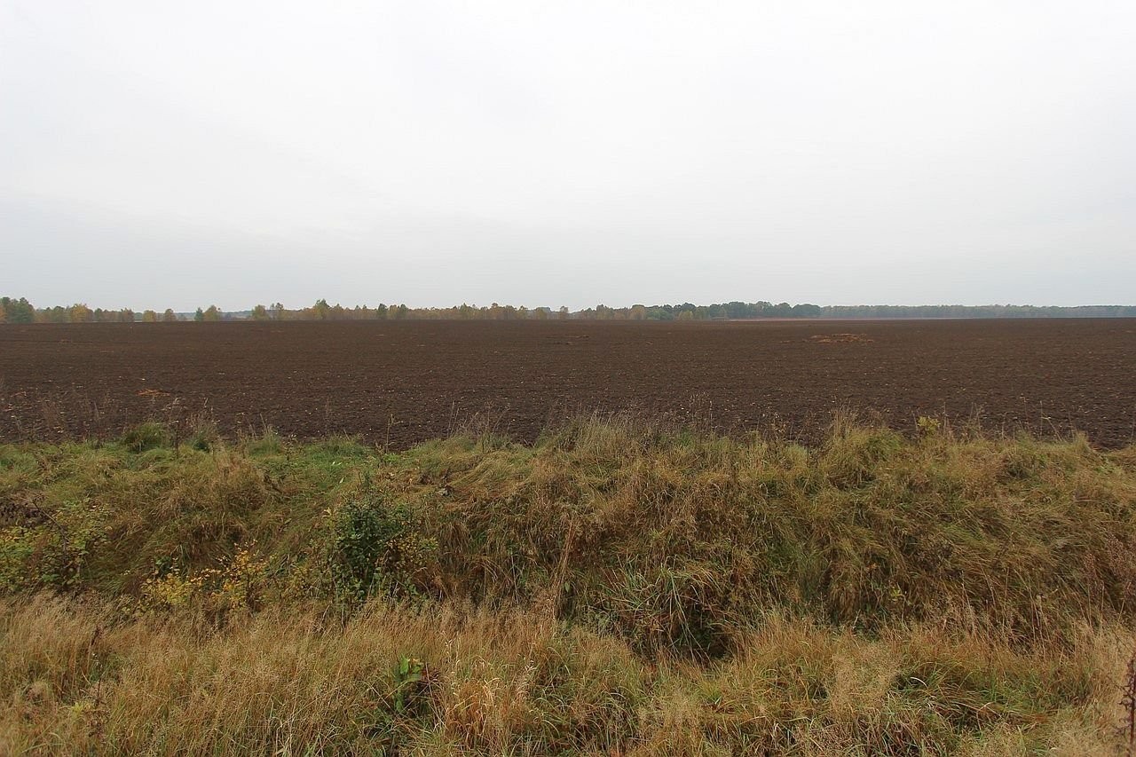 Grunty rolne 400ha + infrastruktura — zdjęcie 4