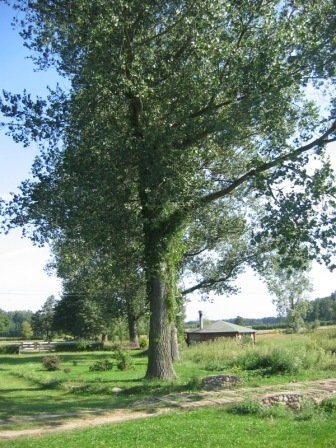 Gospodarstwo rolne, stajnie — zdjęcie 1