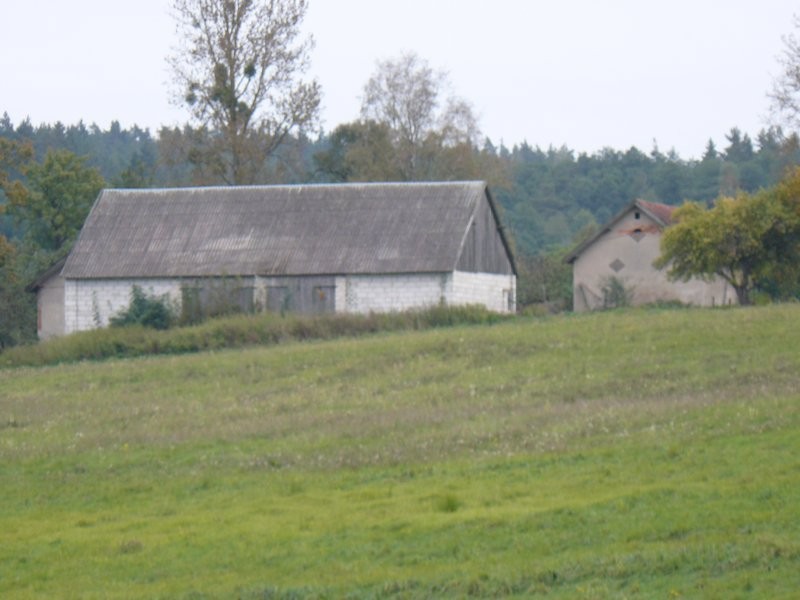 Gospodarstwo rolne (siedlisko) 10h ziemi rolnej — zdjęcie 1