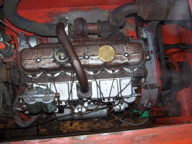 bizon rekord ZO58 — zdjęcie 1