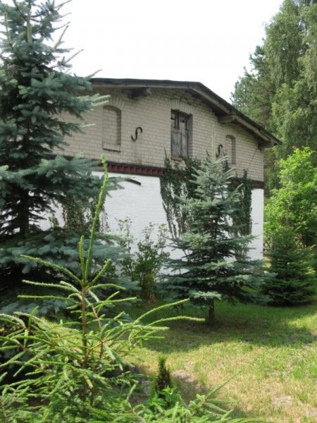 Siedlisko 0,5 ha w lesie warmińsko mazurskie — zdjęcie 6
