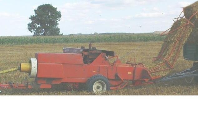 sprzedam prase sipma Z 224/1