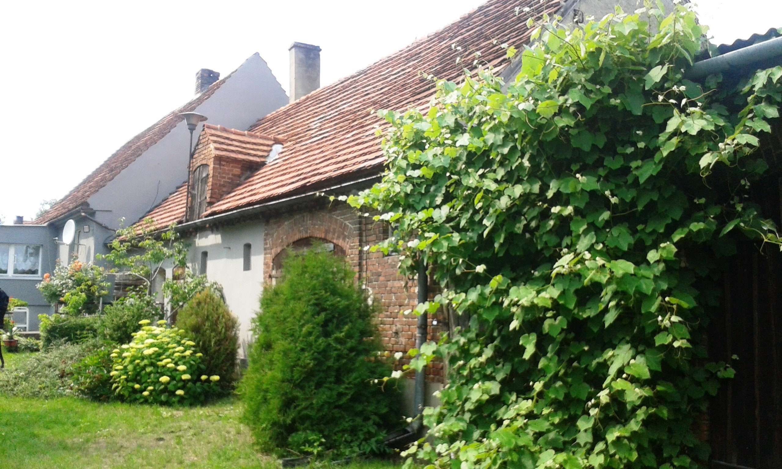 Dom 100 m2 ( + 100 m2 poddasze ) sprzedam — zdjęcie 3