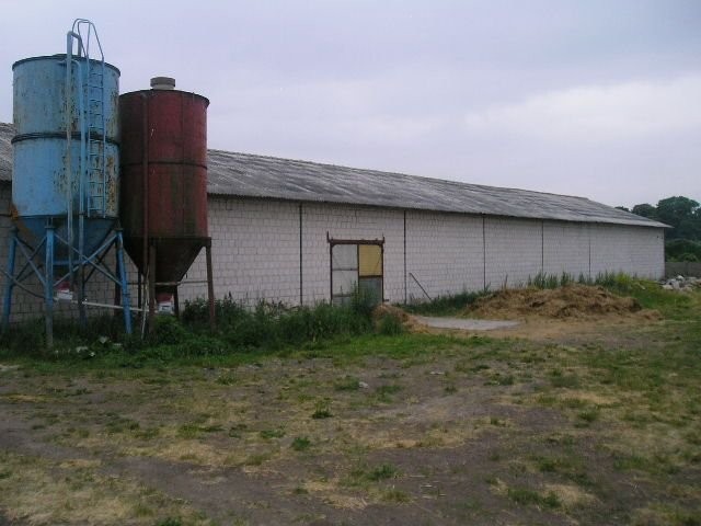 ferma drobiu Kostrzyn Wlkp — zdjęcie 1